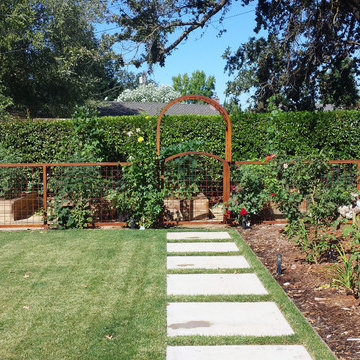 Back Yard Transformation - vegetable garden