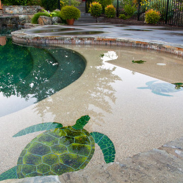 Johnson Pool