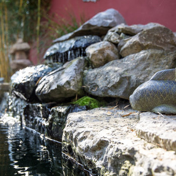 Koi-Teich mit Schwimmteich auf engstem Raum