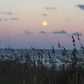 GabrielleBrad Hicks's photo
