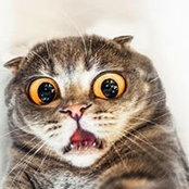 Stacy Bono's photo