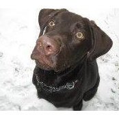 Josiane Simard's photo