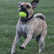 Derek Worley's photo