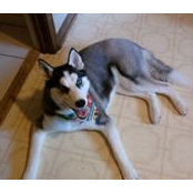 Barry Stouffer's photo