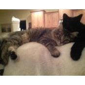 Donette Paige's photo