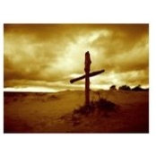 Erica Dearien's photo