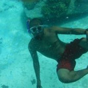 Matthew Sorianosos's photo