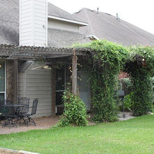 Yard - Back