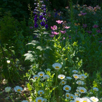The Summer Garden