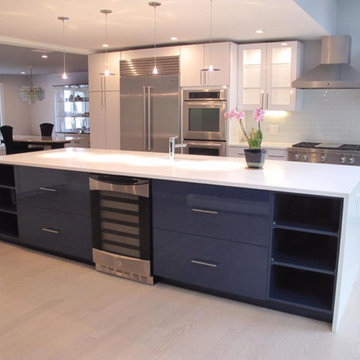 Modern Sleek Kitchen