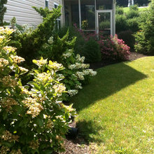 landscape ideas