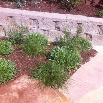 Private garden from Lawn Reduction