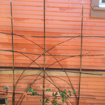 Albany Dog Friendly Garden