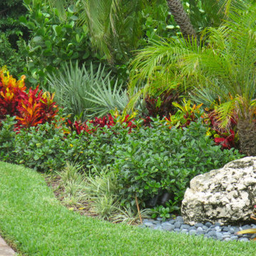 Caribbean Landscaping tropical plants