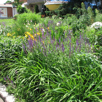 front yard