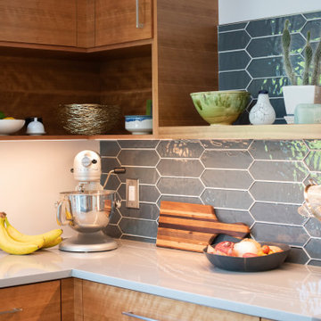 Ellis Hollow Modern Kitchen