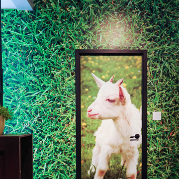 Guildford Animal Hospital