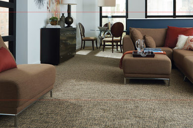 Inspiration for a contemporary carpeted living room remodel in Boston