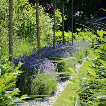 Lavendel zur Verzierung des Gartenweges