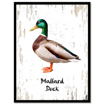 Mallard Duck Bird Canvas Print, 7"x9"