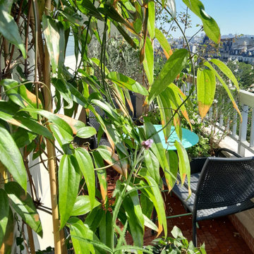 Aménagement nature d'un balcon Paris 11
