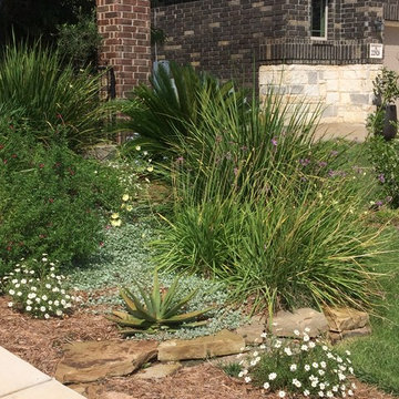 Various Xeriscapes by Team Rhinamic