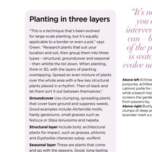 Plants for beds