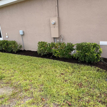 Commercial Landscape Enhancement