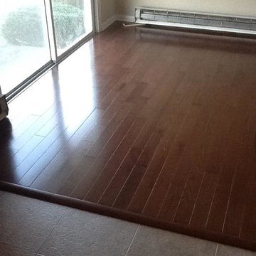 Dynamic Carpets