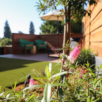 Outdoor Ambience