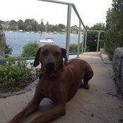 Tracey Griffin's photo