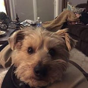 Bill McIsaac's photo