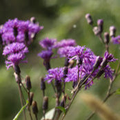 Foto von Liny Liu