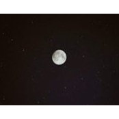 هاجر عبدالحكيم's photo