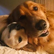 Angie Ahlemeyer's photo