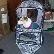 Patsy Krouse's photo