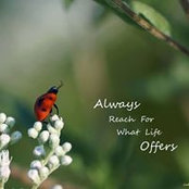 Cathy Sutherin's photo