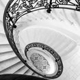 Barbara Brown Photography's profile photo