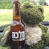 Allison Brockford's photo