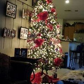 Peg Difrancesco's photo