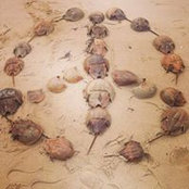 Adam Bella's photo
