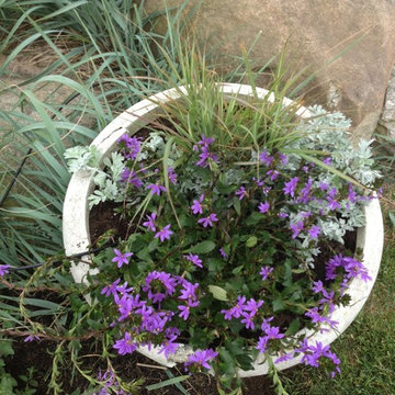 Seasonal Container Plantings & Changeovers