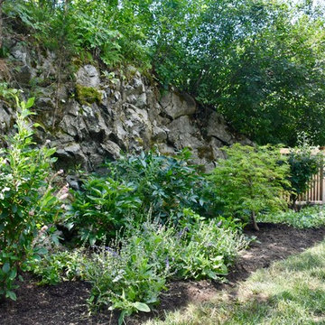 Belmont Landscape Revamp