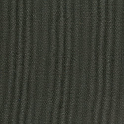 Axiom Asphalt - Upholstery Fabric