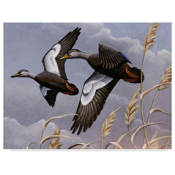 Wilhelm Goebel 'Black Ducks' Canvas Art, 24"x18"