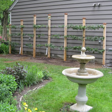 Front Planter Ideas