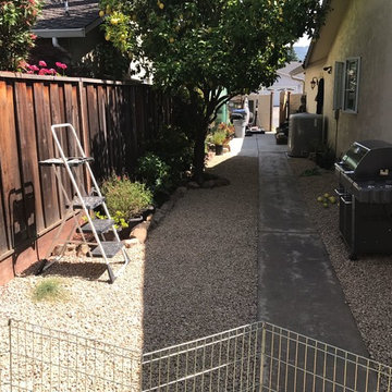 Drought Tolerant Landscape "Zero Scape"