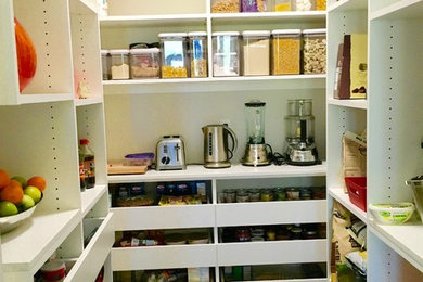 Example of a mid-sized minimalist dark wood floor kitchen pantry design in St Louis with open cabinets and white cabinets