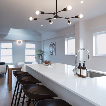 SHOREDITCH PENTHOUSE PROJECT - CONTEMPORARY PENTHOUSE