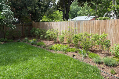Design ideas for a large drought-tolerant and partial sun backyard wood fence landscaping in DC Metro for winter.